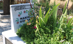 Narin Güran davasında Salim Güran'ın muhtarlığı düştü