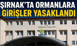 Şırnak'ta Ormanlara Girişler Yasaklandı