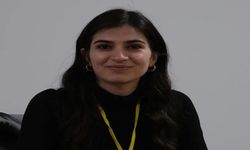 Silopi Belediye Başkanı Ormanlı'dan Rahmi Koç'a Tepki