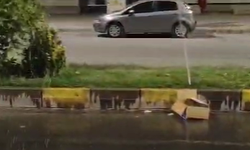 Cizre'de Sulama Hortumu Patladı, Cadde Göle Döndü!