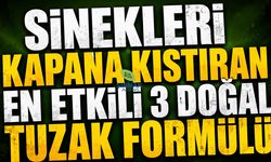 Sinekleri Kapana Kıstıran En Etkili 3 Doğal Tuzak Formülü