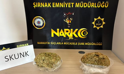 Şırnak’ta 1 Kilogram Skunk Ele Geçirildi, 1 Kişi Tutuklandı