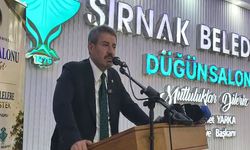 Arslan Tatar’dan Şırnak-Van Yolu İçin Kritik Mesaj