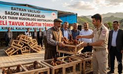75 besiciye 4 bin 500 adet tavuk dağıtıldı