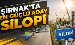 TÜİK kriterlerine göre Şırnak’ta en güçlü aday Silopi