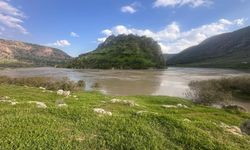 Dicle Nehri İçin Hayati Uyarı, Sakın Girmeyin!
