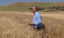 Vekil Demir'den tarla yangınları için “eylem planı” çağrısı