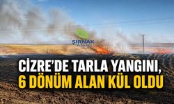 Cizre’de tarla yangını, 6 dönüm alan kül oldu