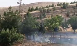 Elektrik Direğindeki Kıvılcım Yangına Sebep Oldu
