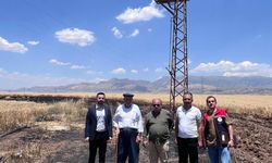 Silopi'de Buğday Ekili Alanda Zarar Tespiti