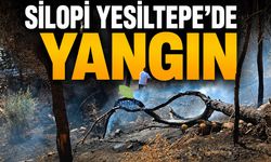 Girik Tepesi'nde Korkulan Oldu, Yangın Çıktı