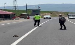 Polis memuru kaplumbağa için trafiği durdurdu