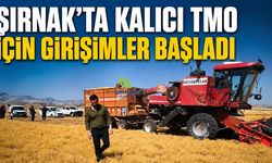 Şırnak’ta kalıcı TMO için girişimler başladı