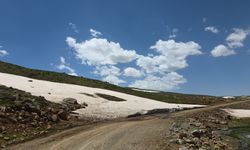 Doğu'nun yayla, çiçekleri ve karlı zirveleriyle mest ediyor