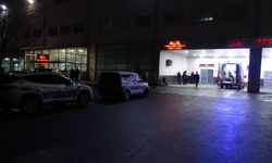 Dut ağacı kavgasında 2 tutuklama