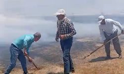 Yüksekova'da bin balya ot kül oldu