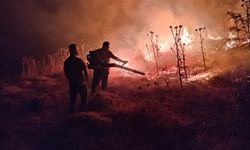 Şırnak'ta 120 dönüm buğday tarlası kül oldu