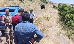 Piknik yolunda facia,: 1 ölü, 23 yaralı