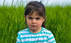 Leyla Aydemir dosyasında şoke eden gerekçe