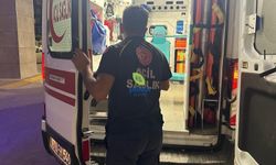 Arının soktuğu kişi yaşam mücadelesi veriyor