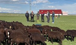 Yetiştiricilere yüzde 50 hibeli makine ve ilaç desteği