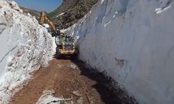 Şırnak sınırında temmuz ayında kar tünelleri
