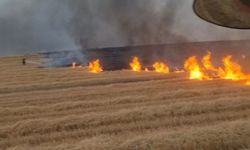 5 bin dönüm arazi alevlere teslim oldu