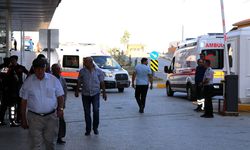 Arı sokmasına bağlı ciddi alerjik reaksiyonlar ölüme sebep olabilir