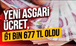 Yeni asgari ücret, 61 bin 677 TL oldu