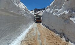 Temmuz ayına rağmen 5 metrelik kar tünellerinde çalışma