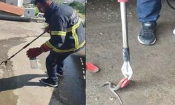 Aracın motor bölmesine giren yılan çıkarıldı