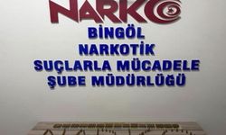 Bingöl'de 600 fişek ele geçirildi 1 tutuklama