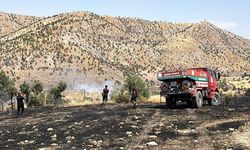 Şırnak'ta örtü yangını ekipleri alarma geçirdi