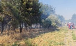 Dicle Üniversitesi yerleşkesinde yangın