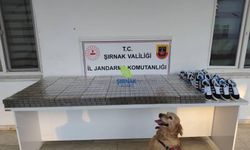 Şırnak'ta 9,2 milyon liralık kaçakçılık operasyonu