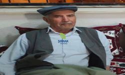 Şırnak’ta bir çınar daha devrildi