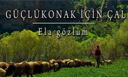 Güçlükonak'ın Güzellikleri Türkülerle Tanıtılıyor