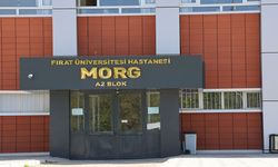 İş makinesinin altında kalan işçi, hayatını kaybetti