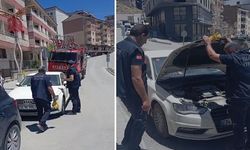 Araca sıkışan yavru kedi itfaiye tarafından kurtarıldı