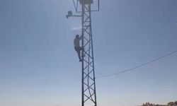 Kaçak trafonun sökülmesini engellemek için elektrik direğine çıktı