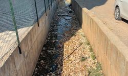 Silopi'de Kanal ve Dere Temizliği Çalışmaları Sürüyor