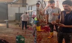Silopi’de kasaplar isyanda, kesimhanede hijyen krizi