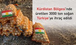 Kürdistan Bölgesi'nden Türkiye'ye İlk Soğan İhracatı Başladı