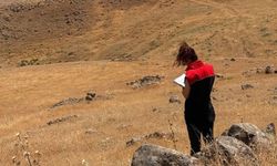 Şırnak'ta Mera Alanlarında Teknik İnceleme Sürüyor