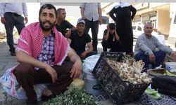 Semizotu hem sağlık hem geçim kaynağı oldu