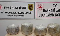 Yüksekova'da 11 kilo skunk ele geçirildi