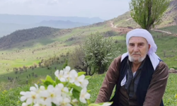 Şırnaklı Din Alimi Tahir Bezek Hayatını Kaybetti