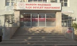 Damda uyuyan 12 yaşındaki kız çocuğu silahla vuruldu