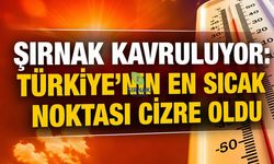 Şırnak kavruluyor, Türkiye'nin en sıcak noktası Cizre oldu