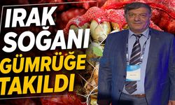 Irak'tan Gelen Soğan Gümrükte Kaldı